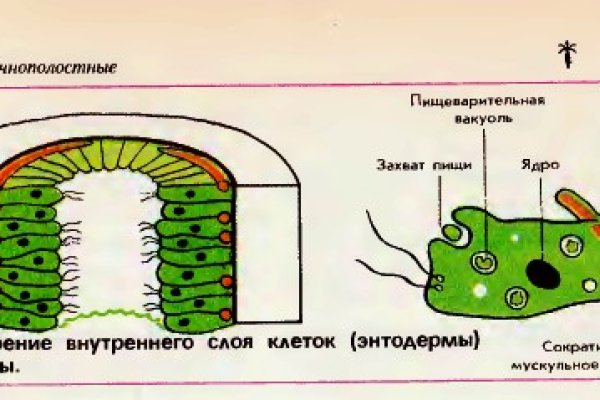Кракен офф сайт