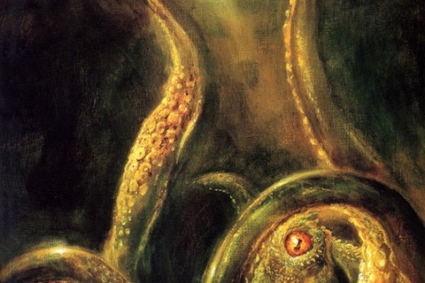 Kraken russia