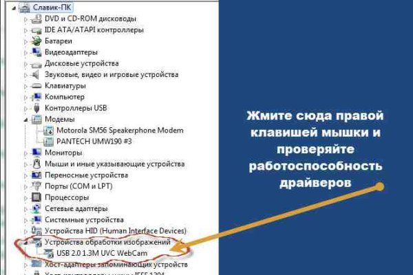 Кракен орг