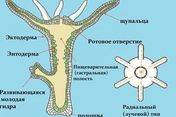 Kraken актуальный сайт