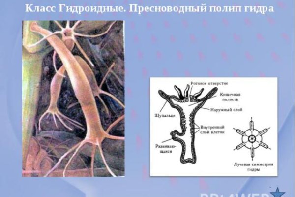 Логин и пароль от кракен