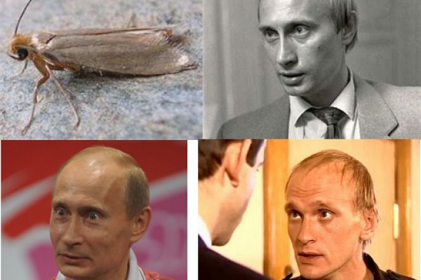 Что будет если зайти в кракен
