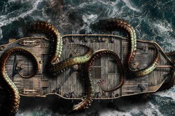 Kraken 20at