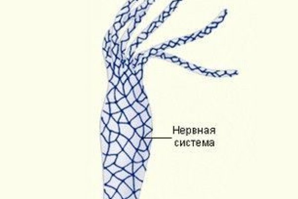 Рабочий сайт kraken
