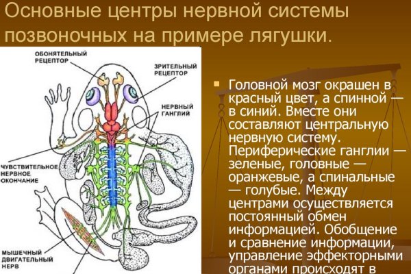 Кракен зеркало