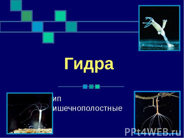 Кракен как войти